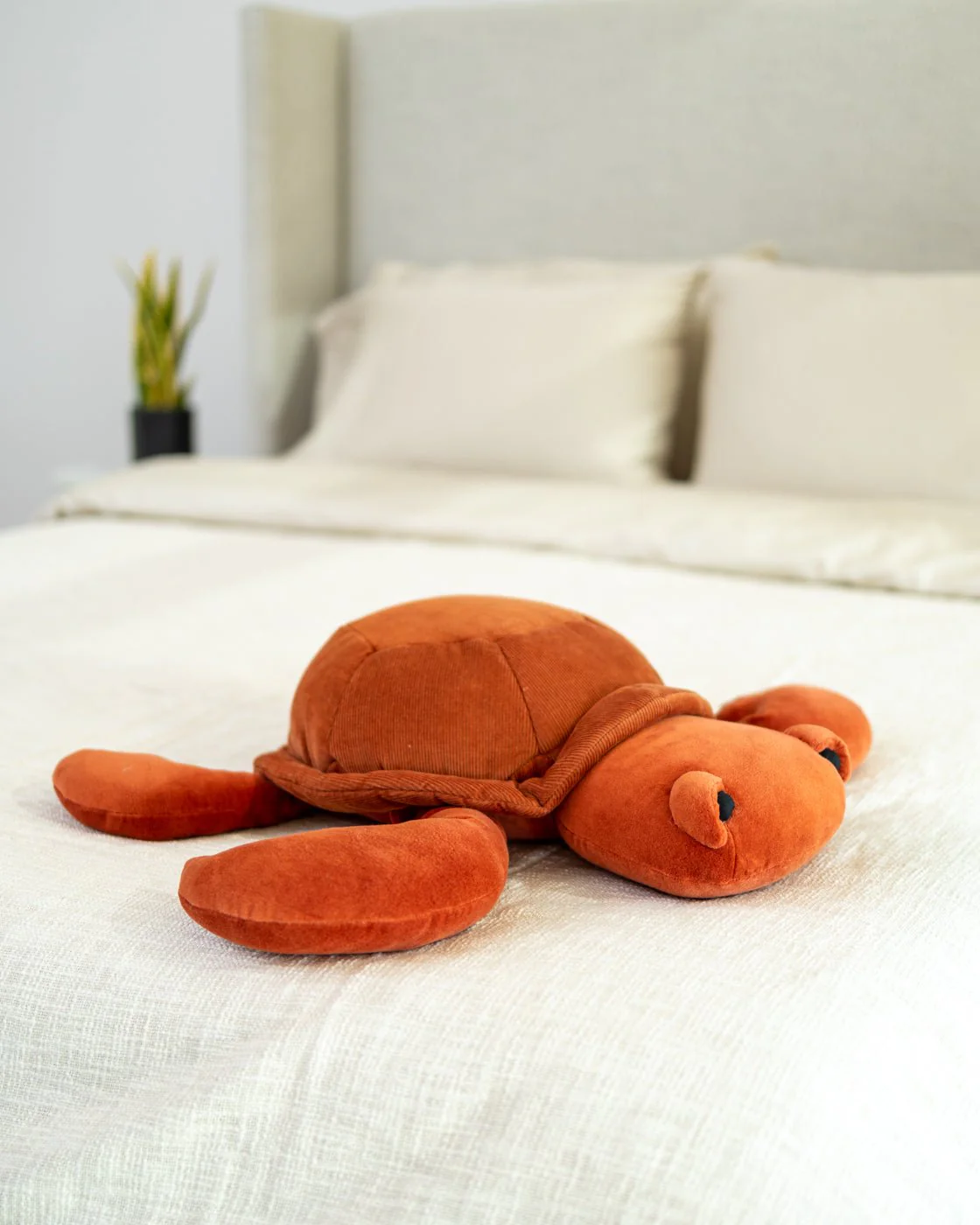 Organic Cotton Turtle Pillow - Image 3