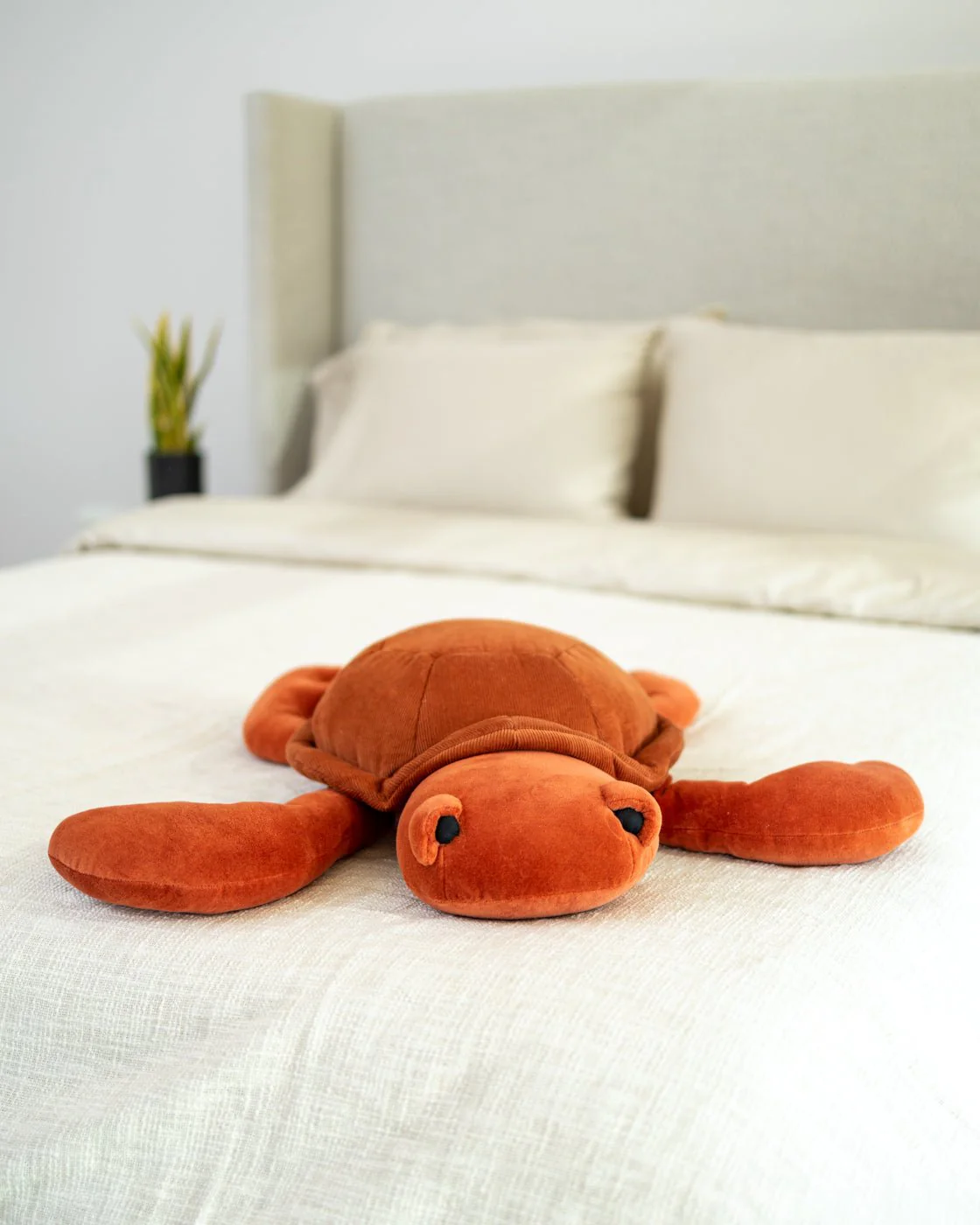 Organic Cotton Turtle Pillow - Image 5