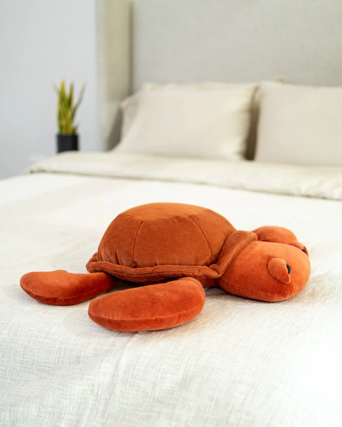Organic Cotton Turtle Pillow - Image 9